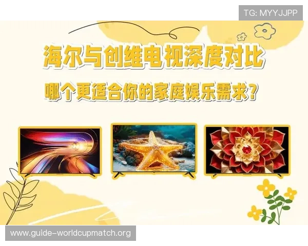 b0b体育平台用户评价与口碑分析，真实反馈帮助你做出明智选择